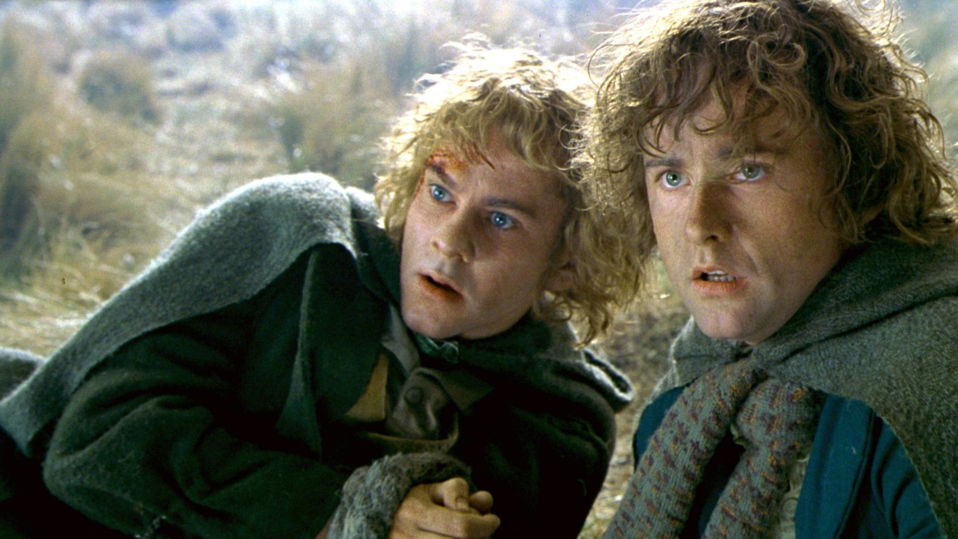 Merry and pippin 2
