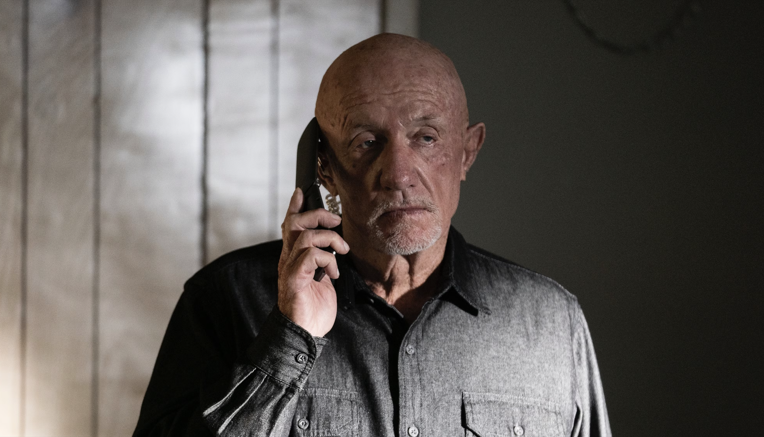 Mike Ehrmantraut from Better Call Saul