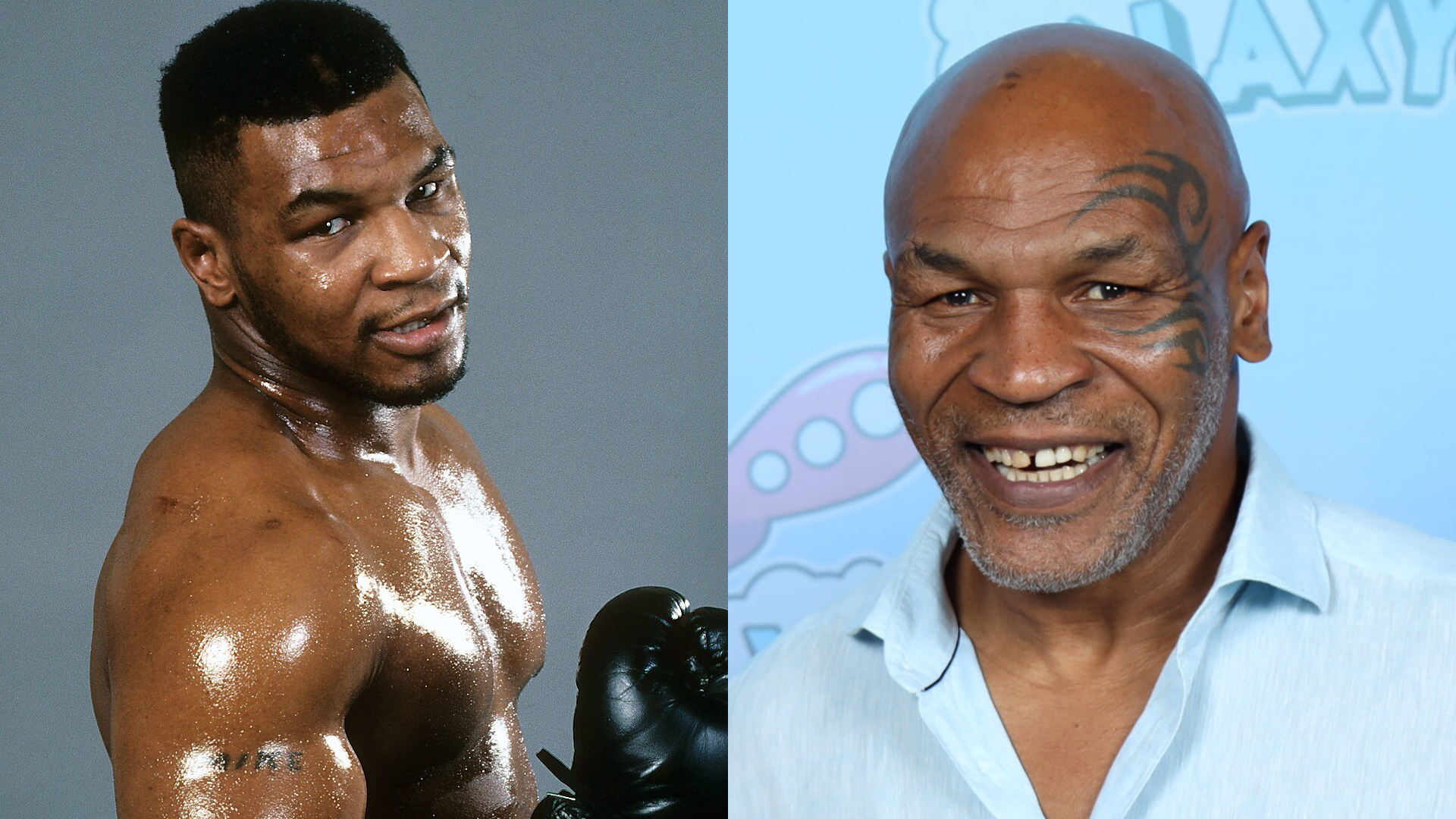 Mike Tyson 01 Wikipedia