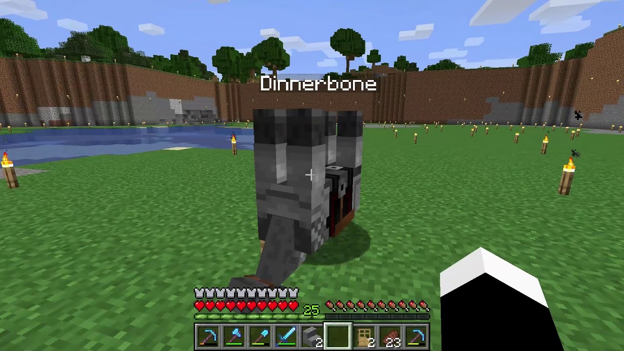 Minecraft Dinnerbone