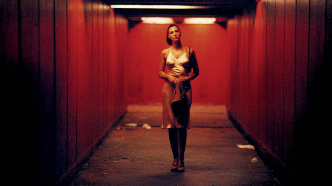 Monica Bellucci Irreversible