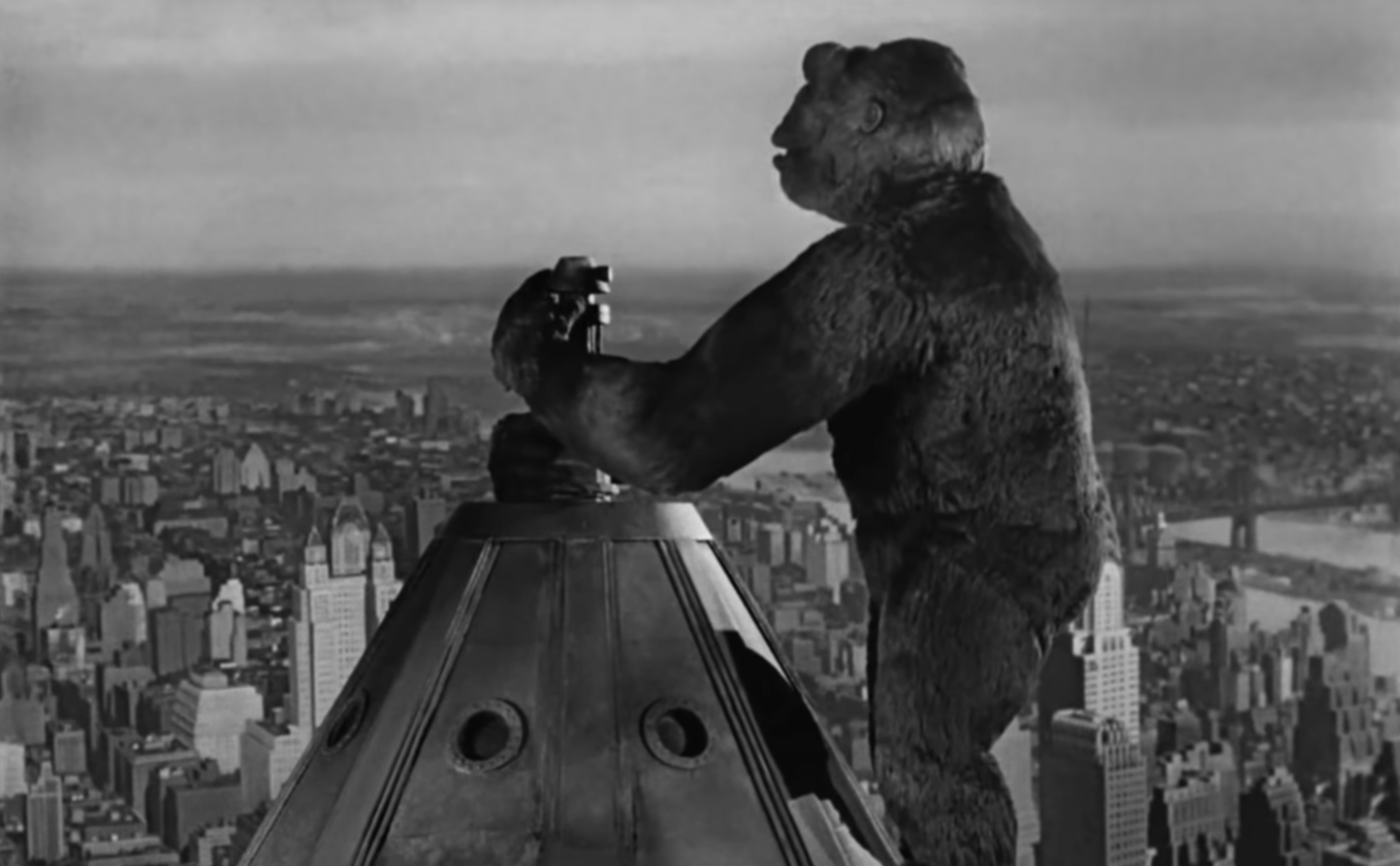 Most Iconic Movie Quotes of All Time King Kong
