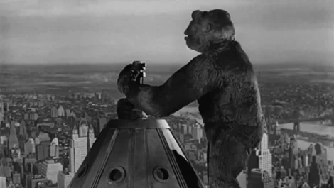 Most Iconic Movie Quotes of All Time King Kong