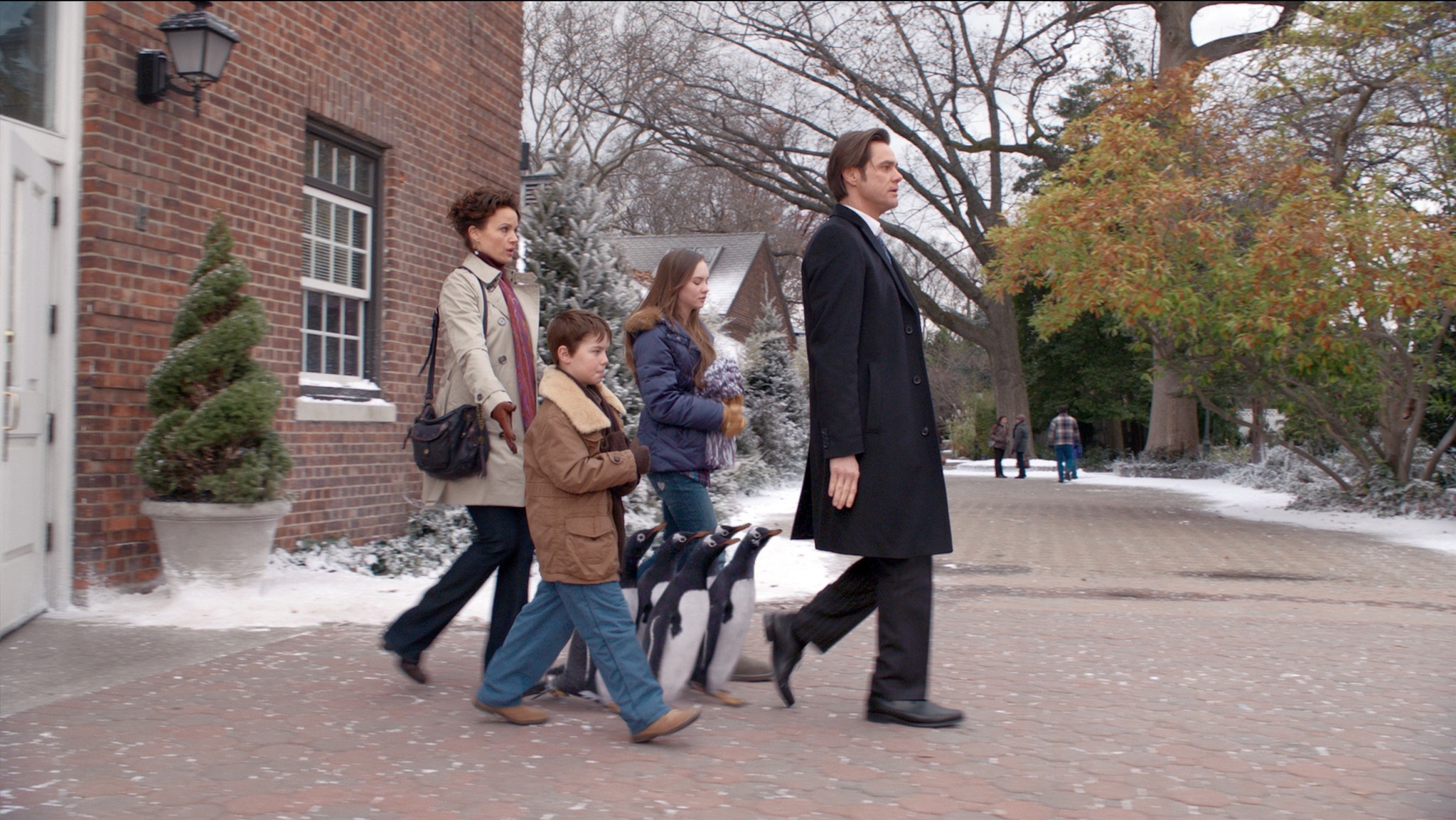 Mr Poppers Penguins