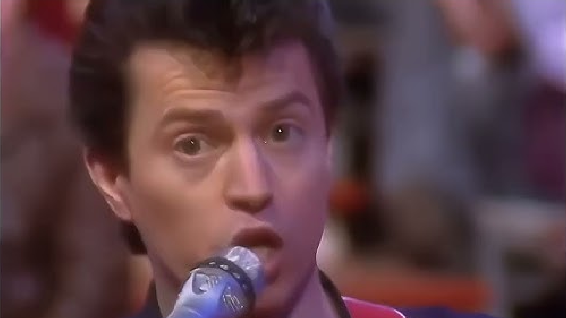 Musikskandale Spider Murphy Gan