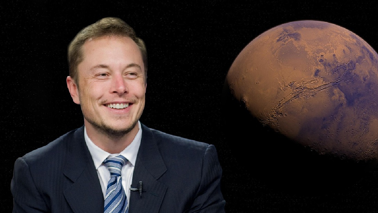 Musk Odysee
