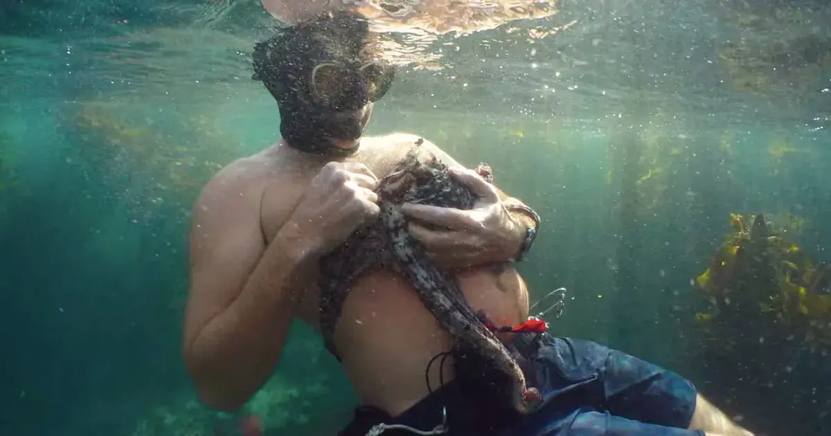 My Octopus Teacher