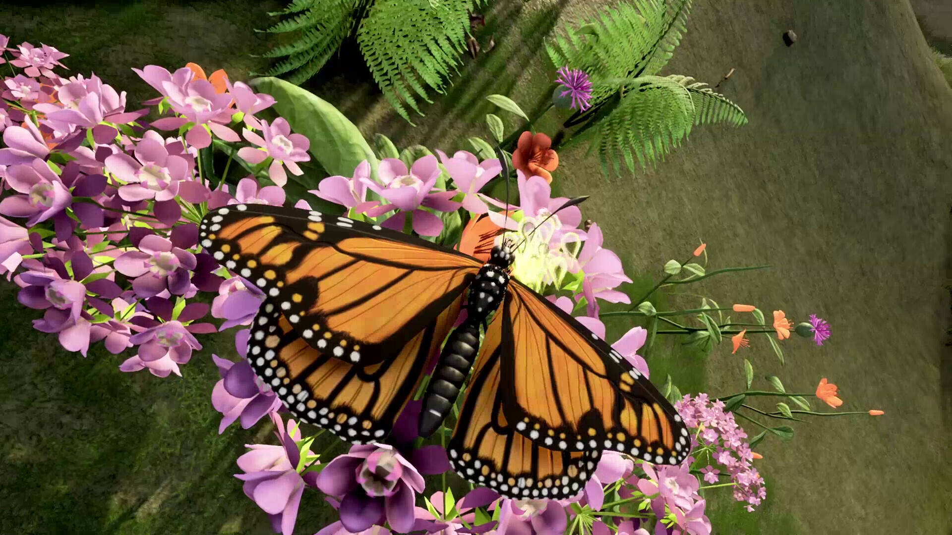 Nature And Life Drunk On Nectar
