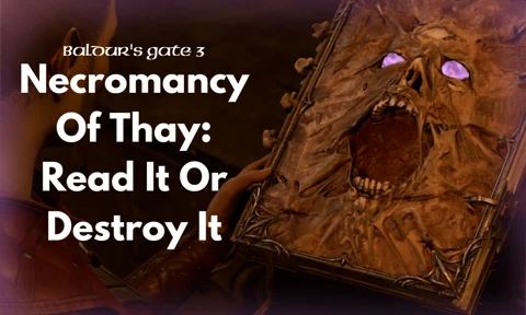 Baldur's Gate 3: How To Find The Necromancy Of Thay And…