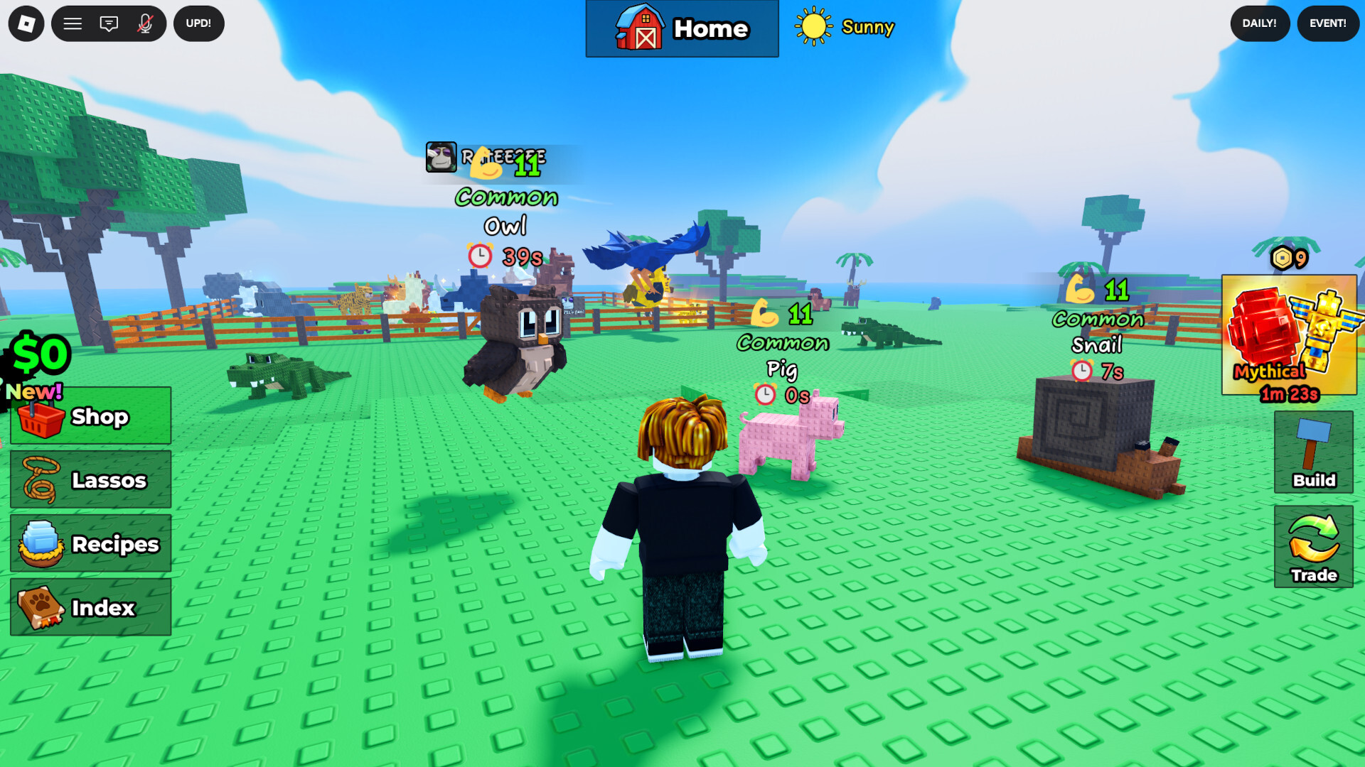 New Catch and Tame Codes