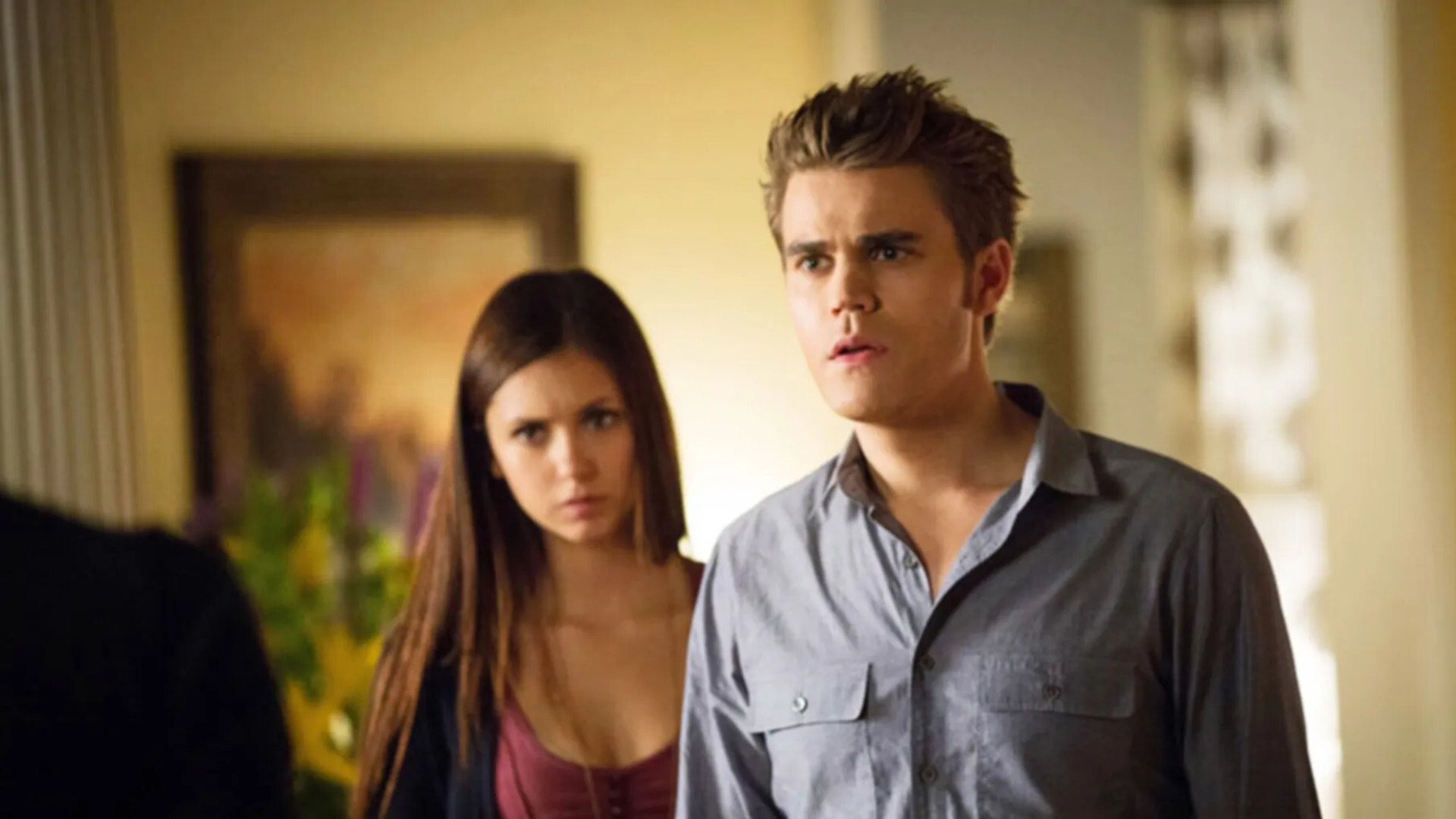 Nina Dobrev Paul Wesley The Vampire Diaries