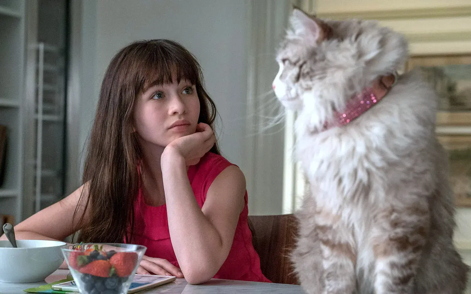 Nine Lives