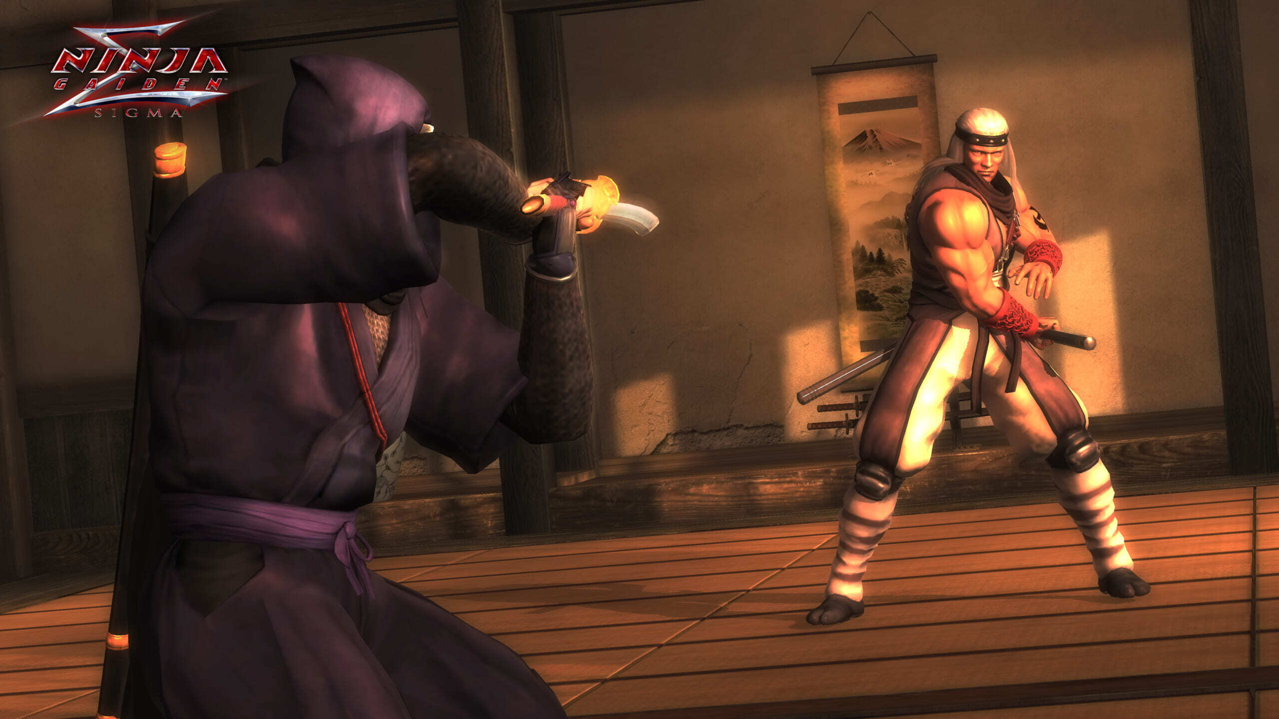 Ninja Gaiden Sigma scaled