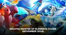 Ninjitsu Master of Elements November 2024