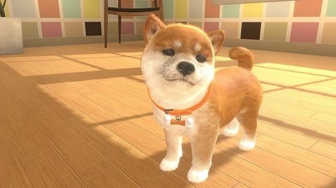 Nintendogs