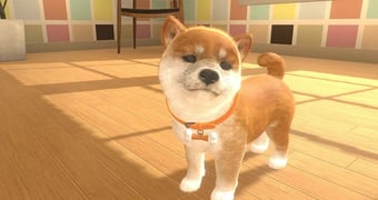 Nintendogs