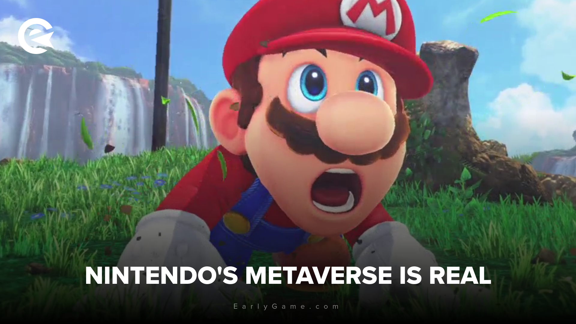 Ninteno MMO T