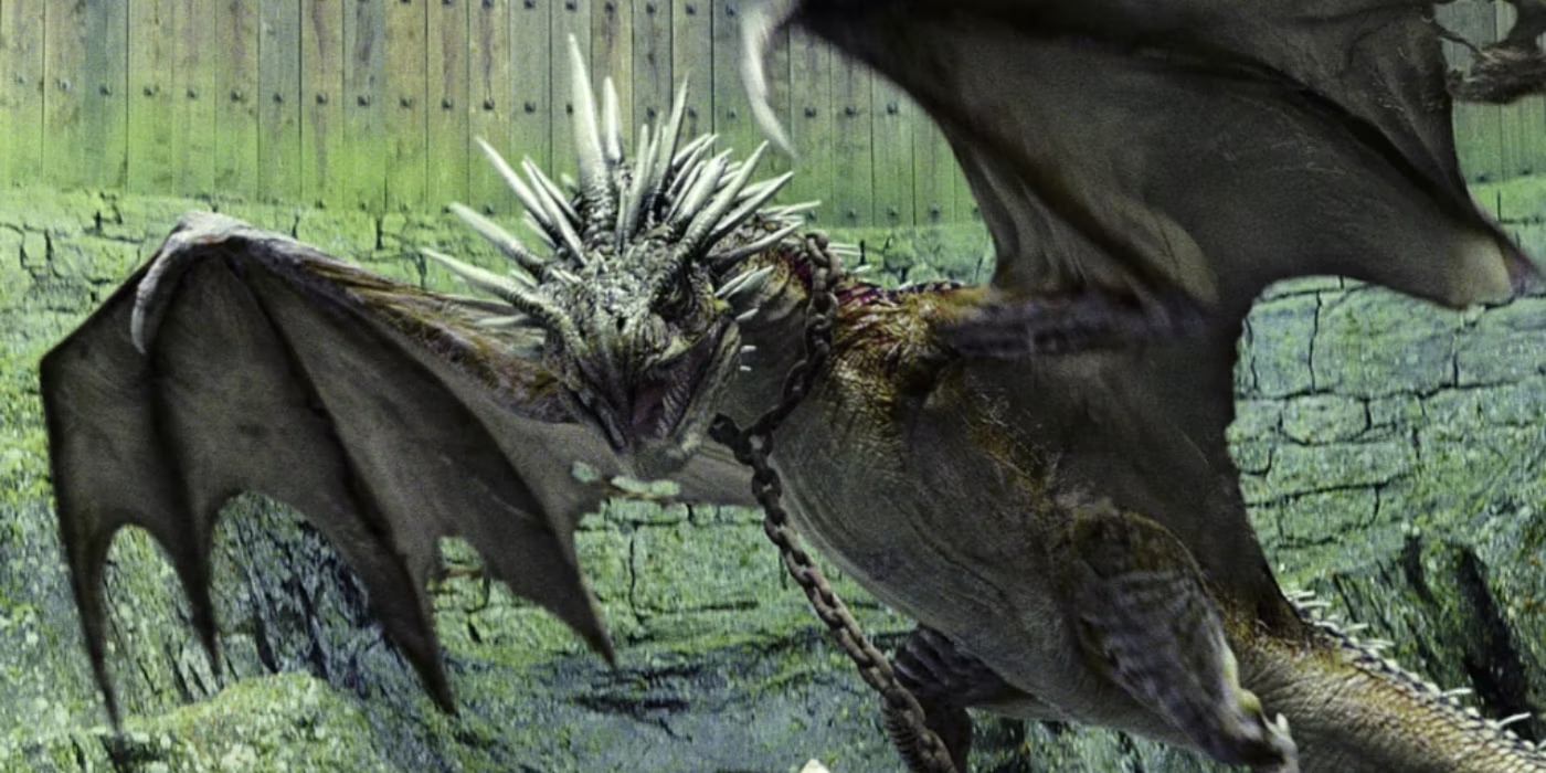 No dragons
