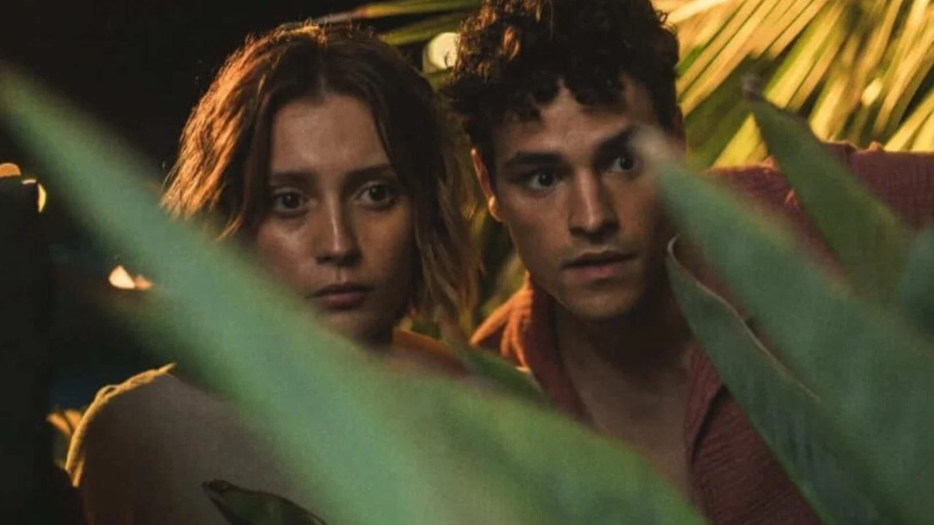 Oasis