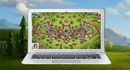 PC Clashof Clans