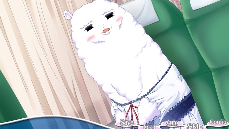 Paca Plus 1