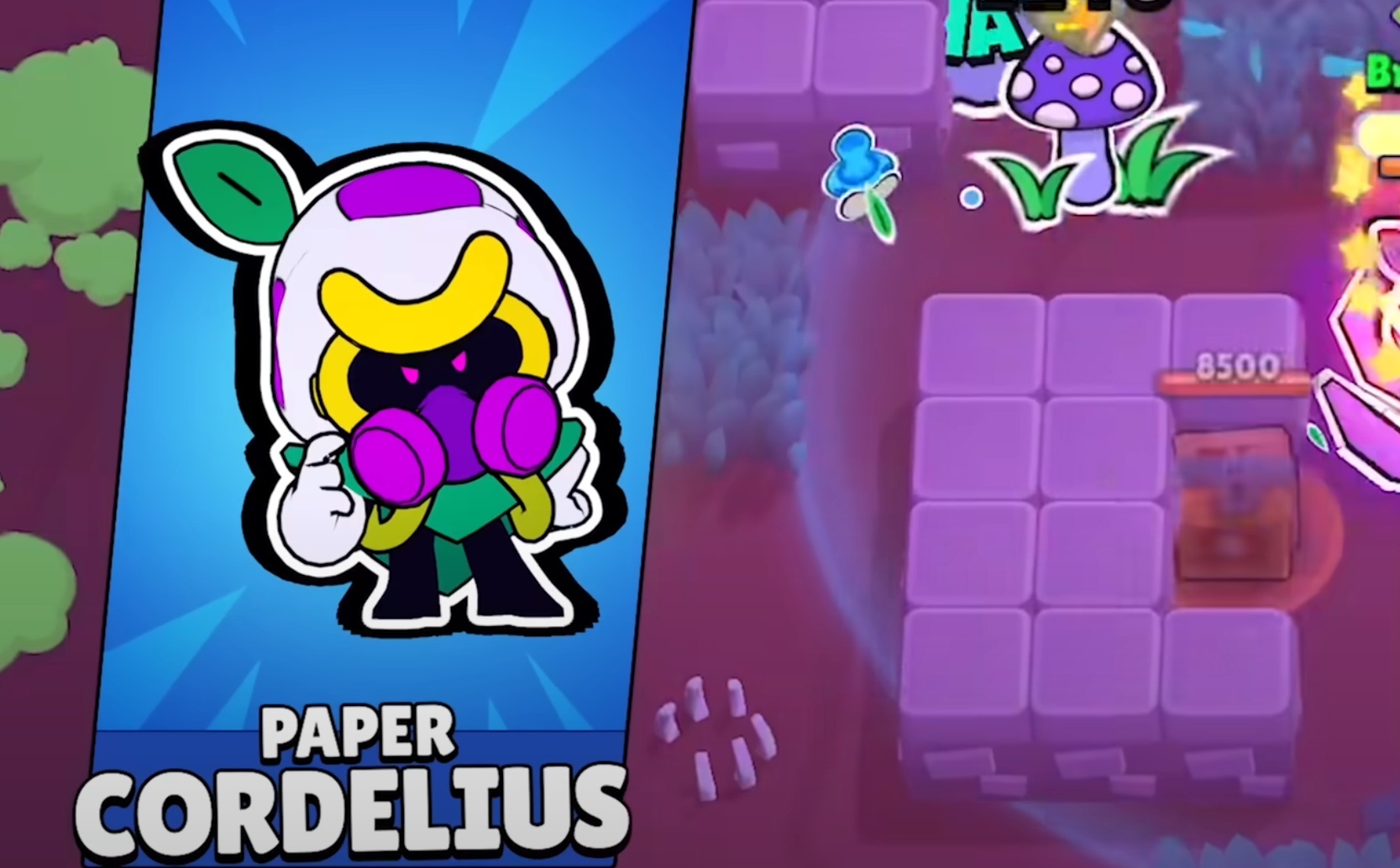 Paper Cordelius