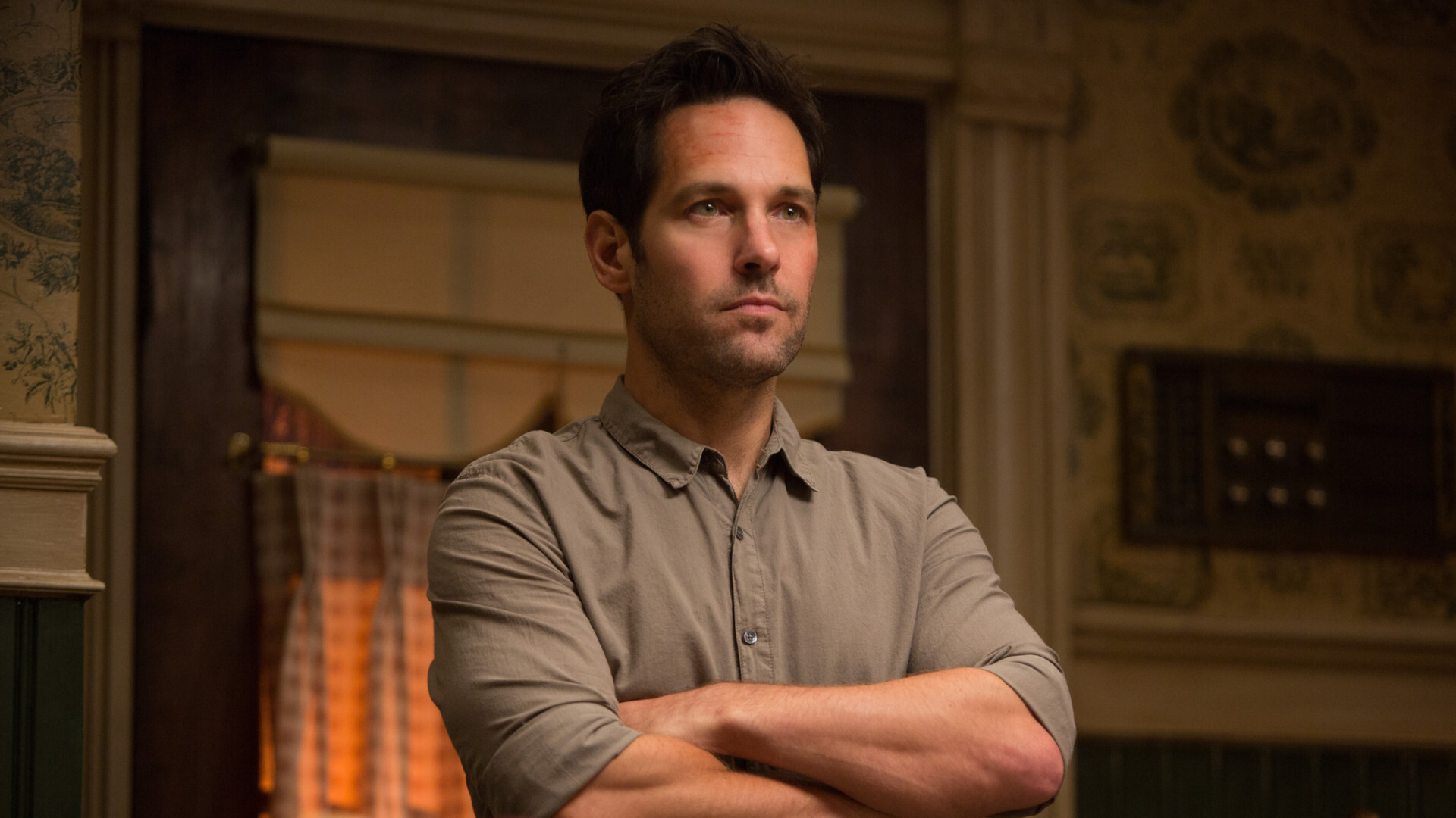 Paul Rudd Antman