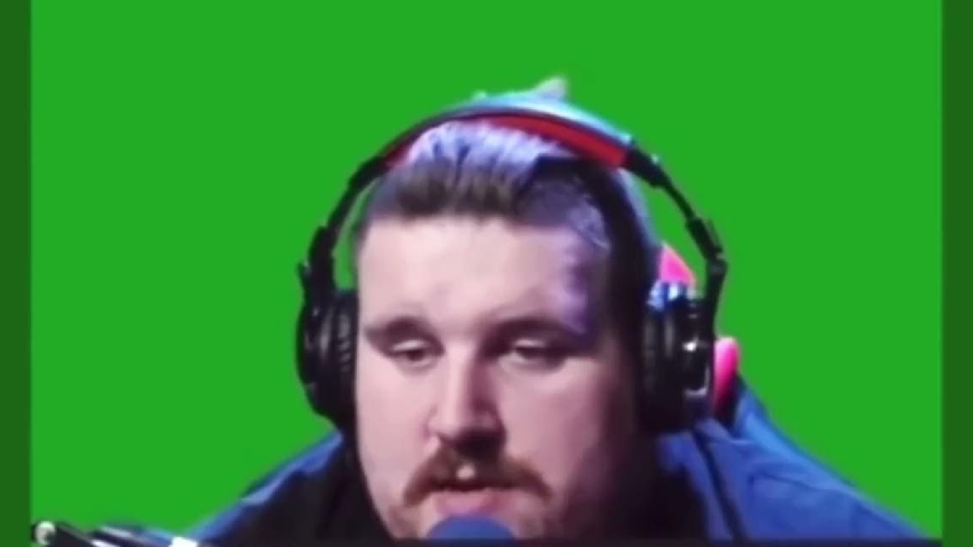 Paular Garten Memes Forza