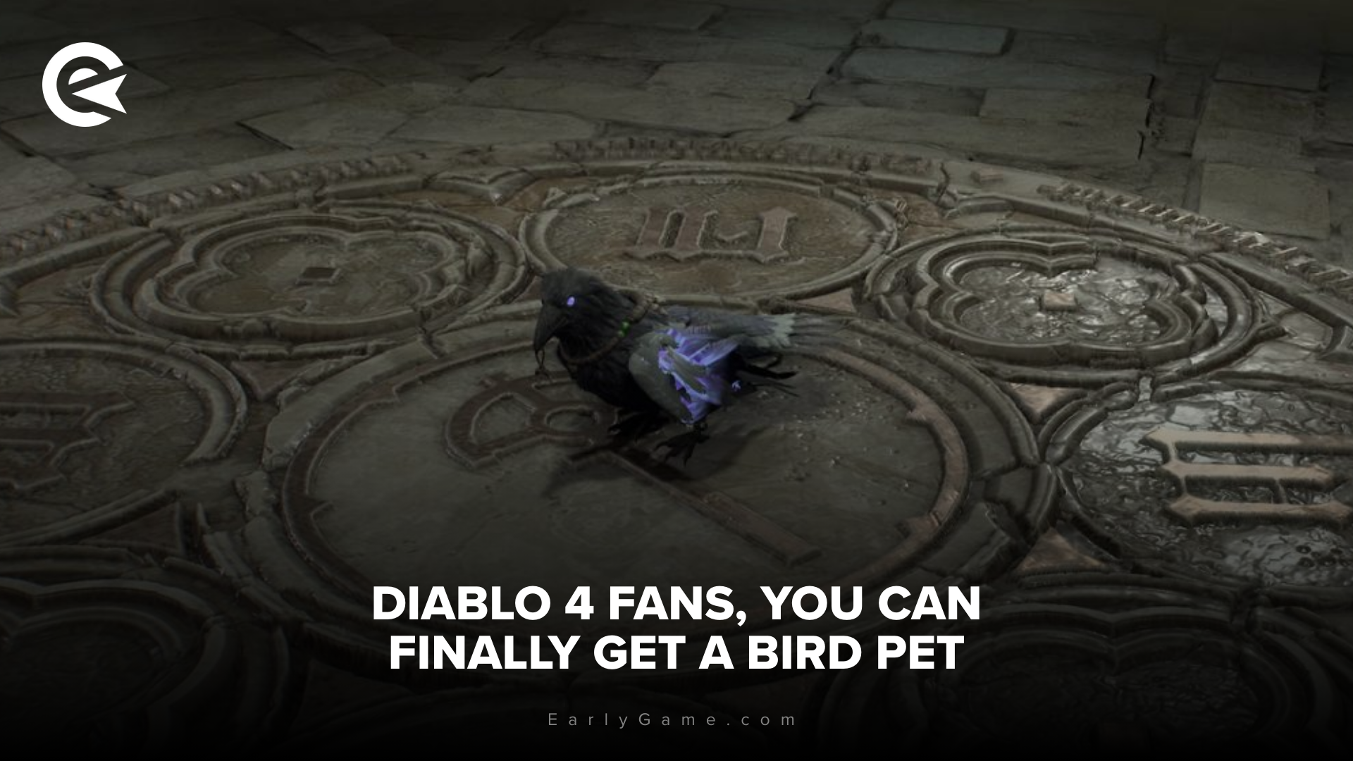 Pet Raven in Diablo 4 2