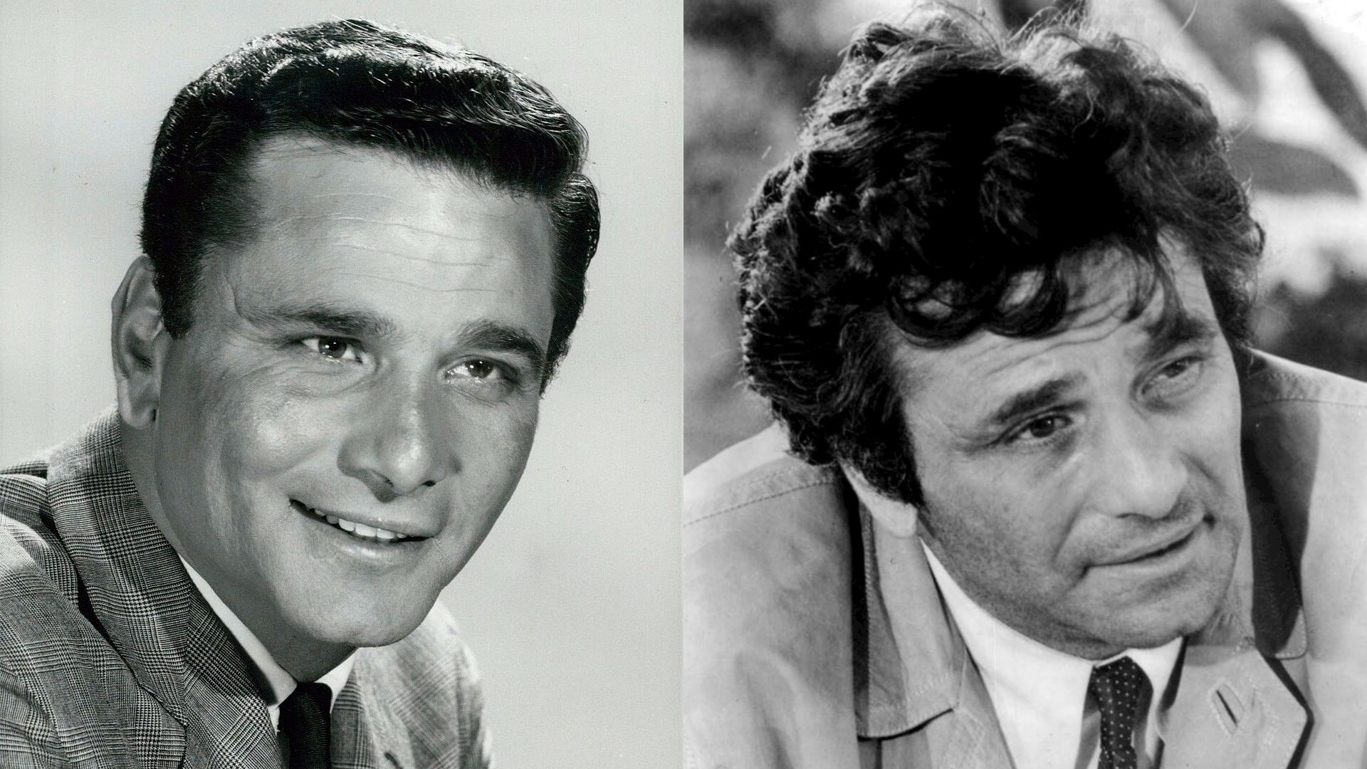 Peter Falk 01 Wikipedia