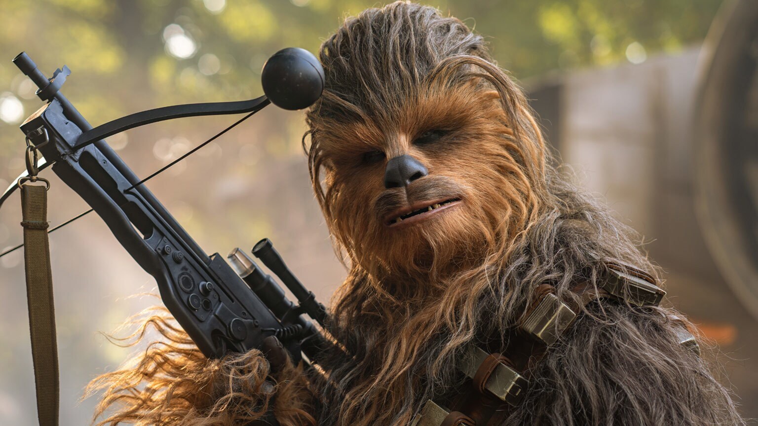 Peter Mayhew