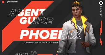 Phoenix Guide
