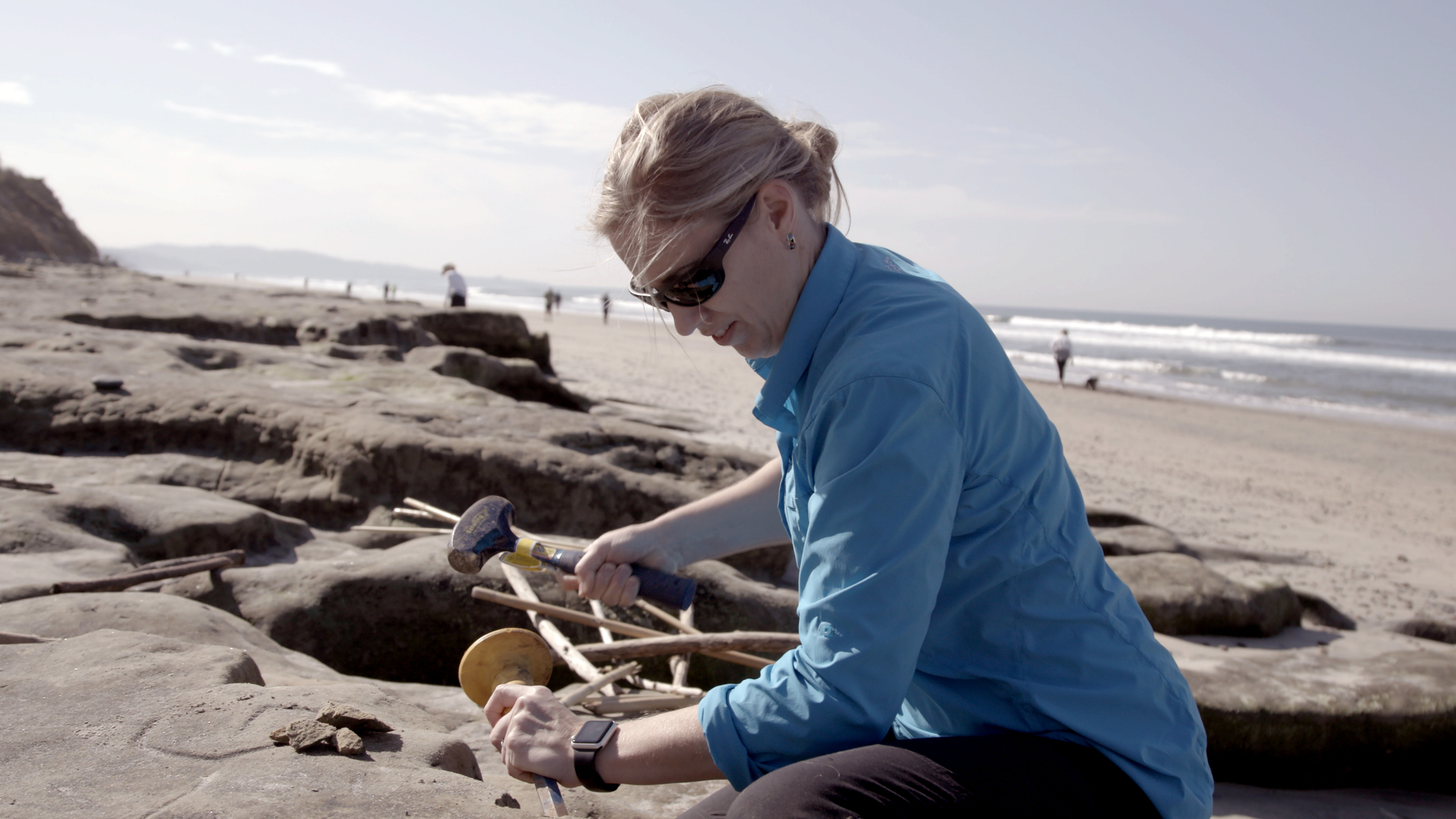 Picture A Scientist 2020