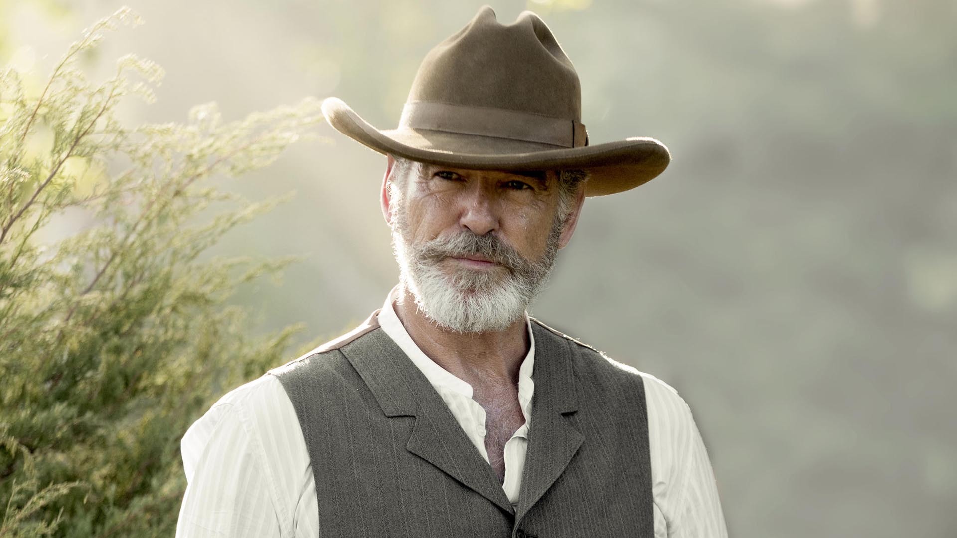 Pierce Brosnan