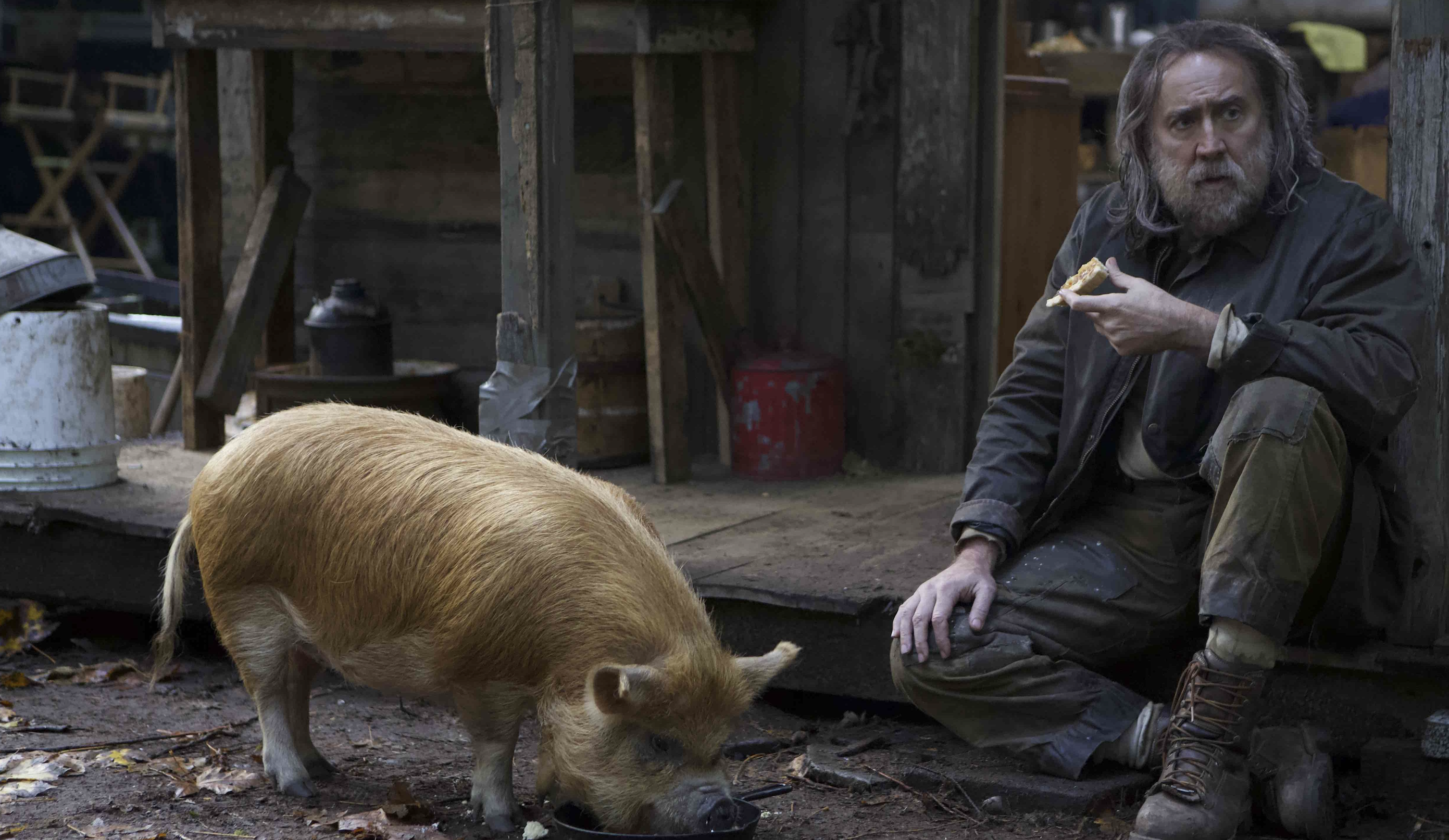 Pig