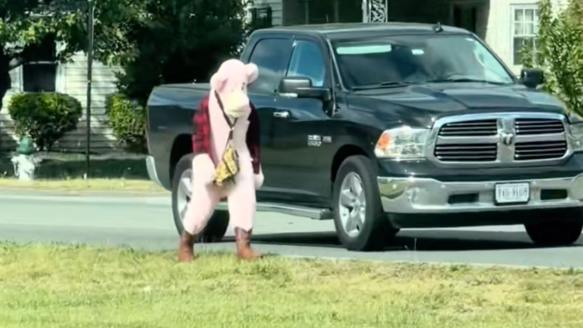 Pink Panther Criminal Tik Tok