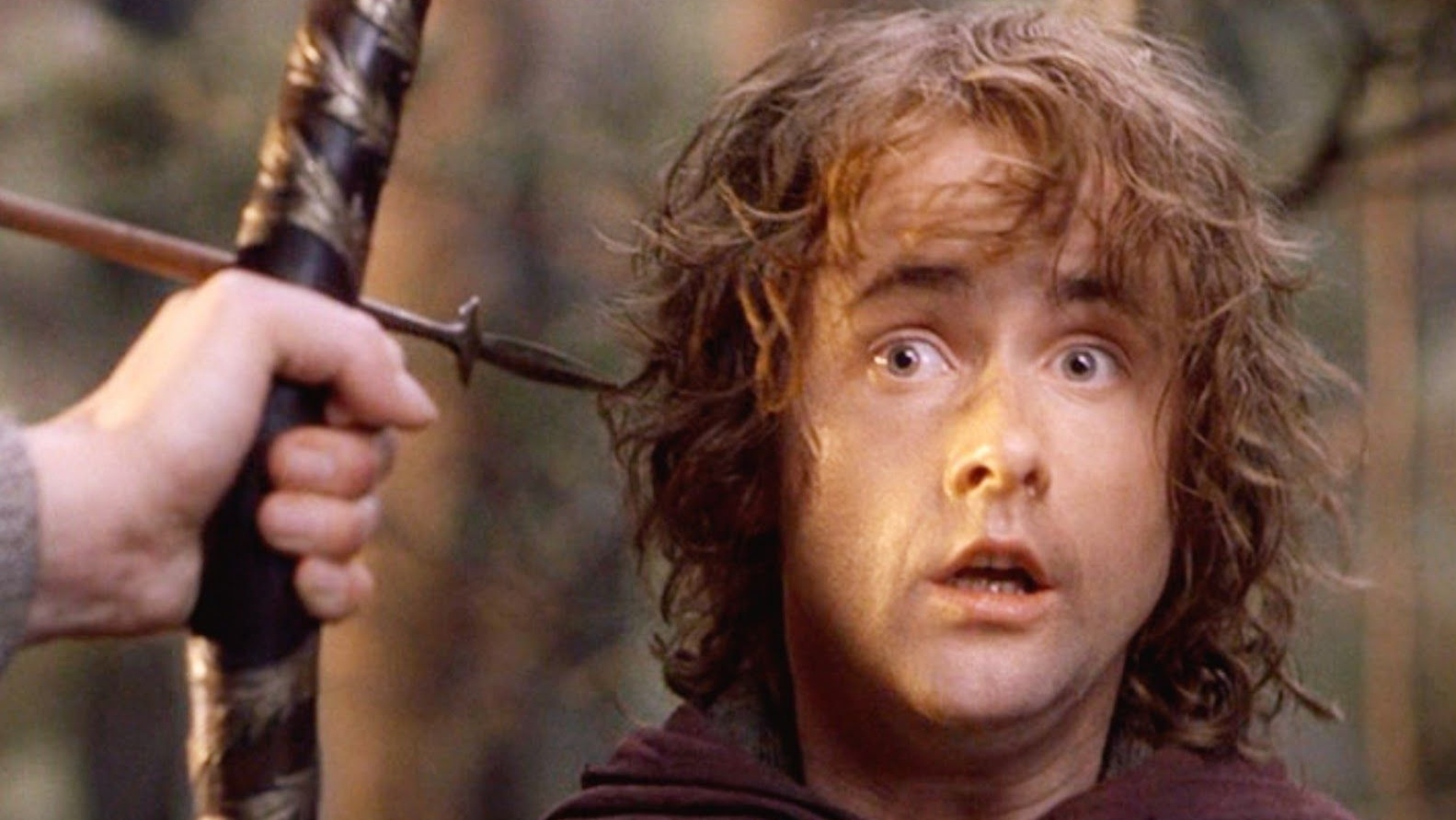 Pippin The Lord of the Rings The Fellowship of the Ring 2001 1