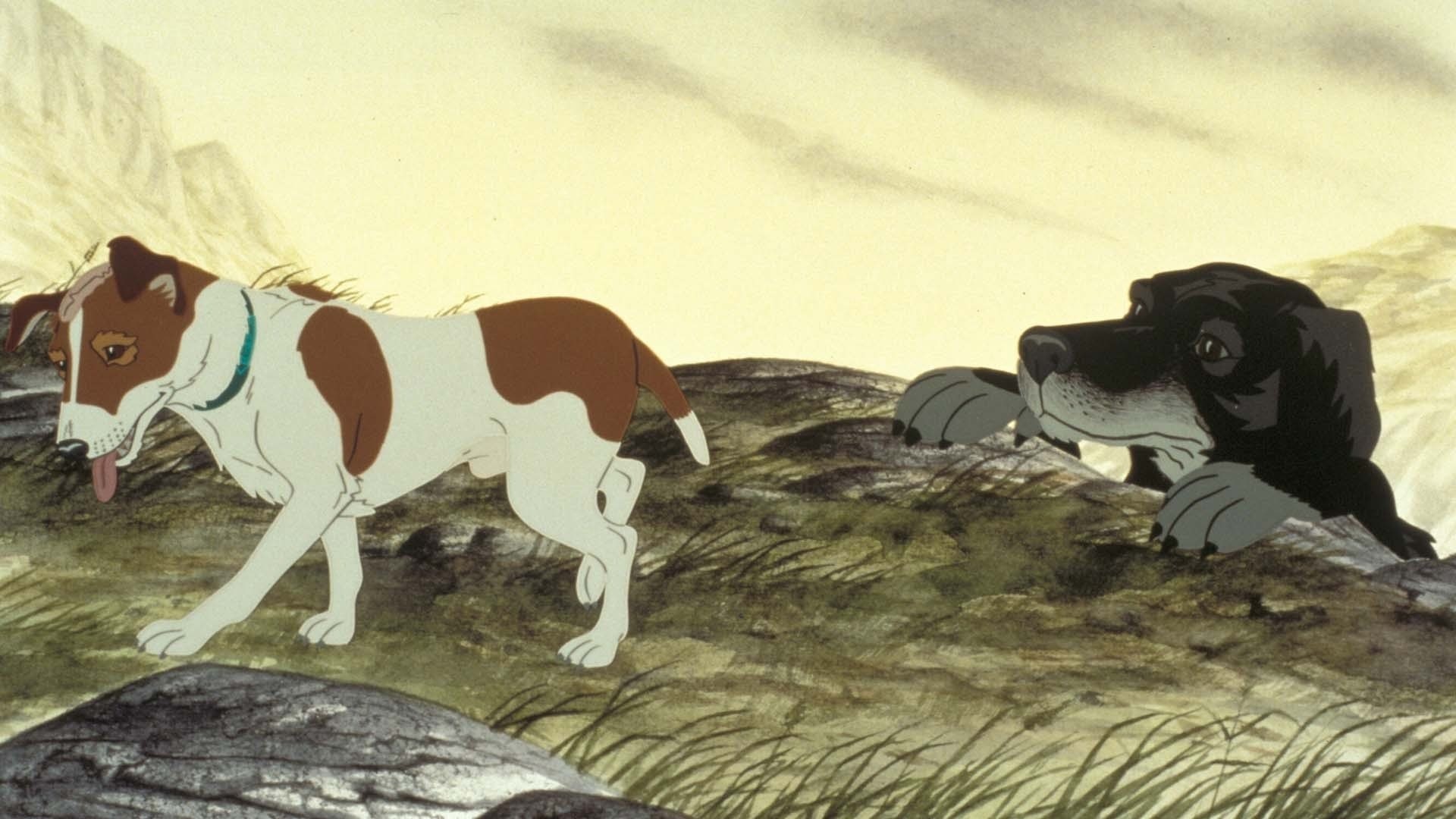 Plague Dogs