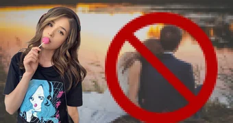 Pokimane Fake Couples