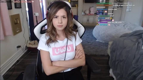 Pokimane shuts down mean person