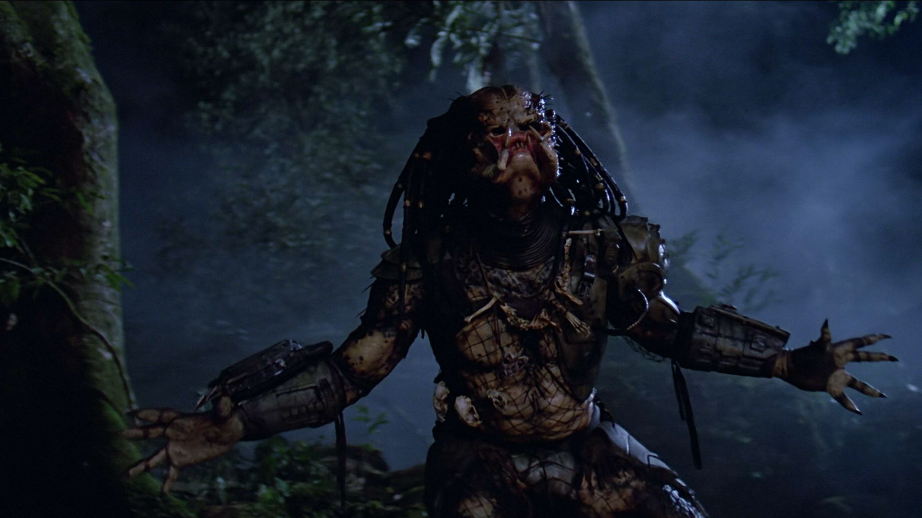 Predator