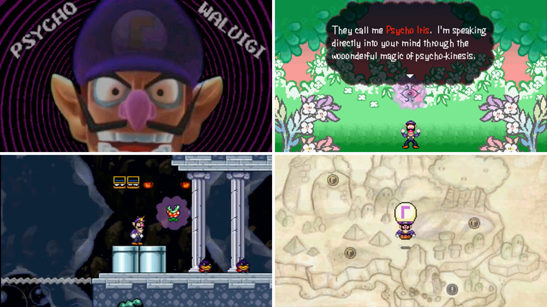 Psycho Waluigi 2011