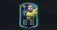 Pukki FIFA EM