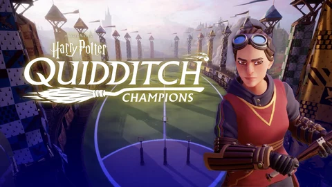 Quidditch Champions