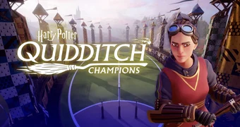 Quidditch Champions