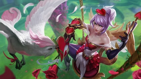 Quinn 4