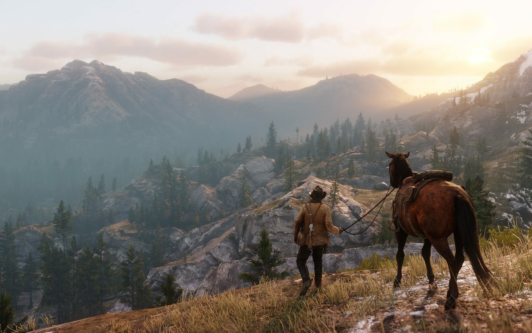 Man with his horse looking at the landscape in Red Dead Redemption 2