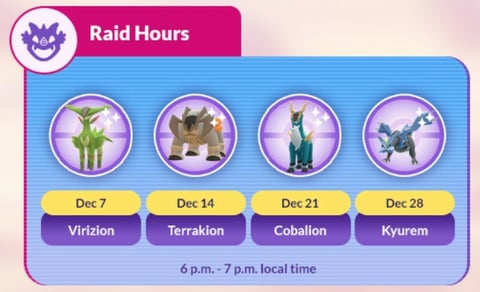 Raid Hours Dec