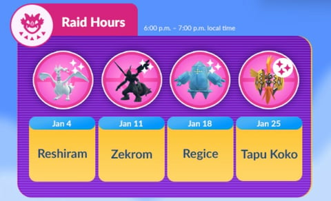 Raid Hours January