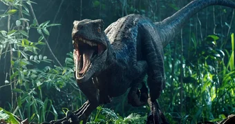 Raptor Jurassic World